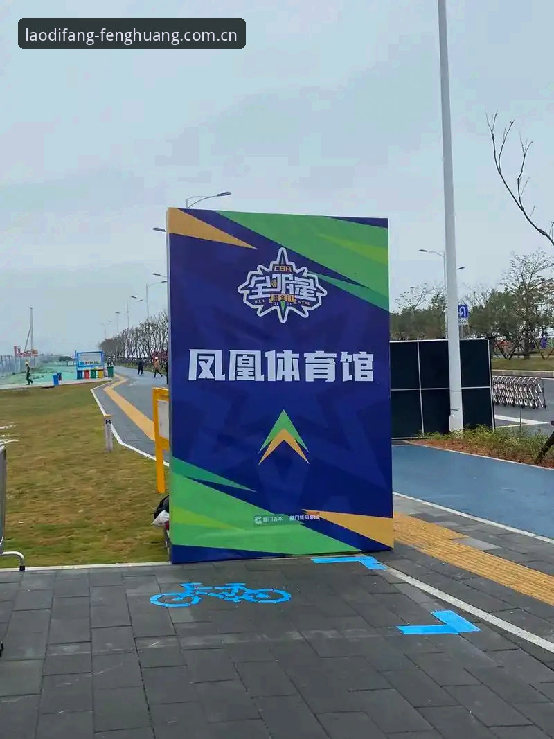 凤凰体育APP下载安装 资深用户分享:在凤凰体育官网追平佛得角黑马之旅的真实体验